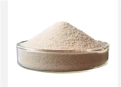 Antikancerogeni mehanizmi salinomicina u raku dojke i njegova klinička primjena