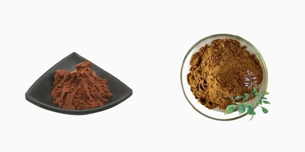 Organic Rheum Palmatum Root Extract CAS 518-82-1 Emodin Powder Organic Rheum Palmatum Root Extract CAS 518-82-1 Emodin Powder
